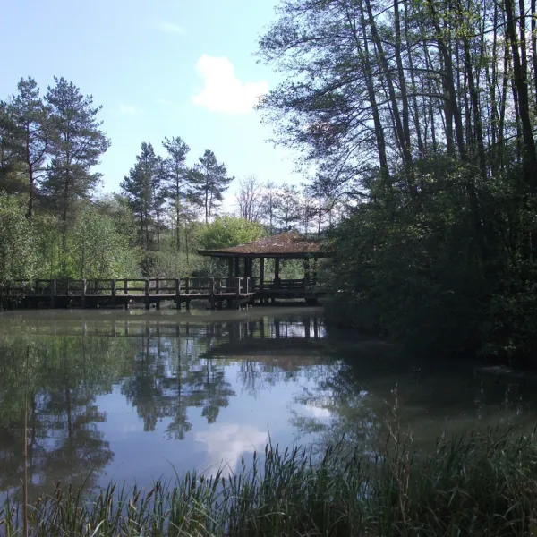 neumuhle-ermsdorf-ffw9z