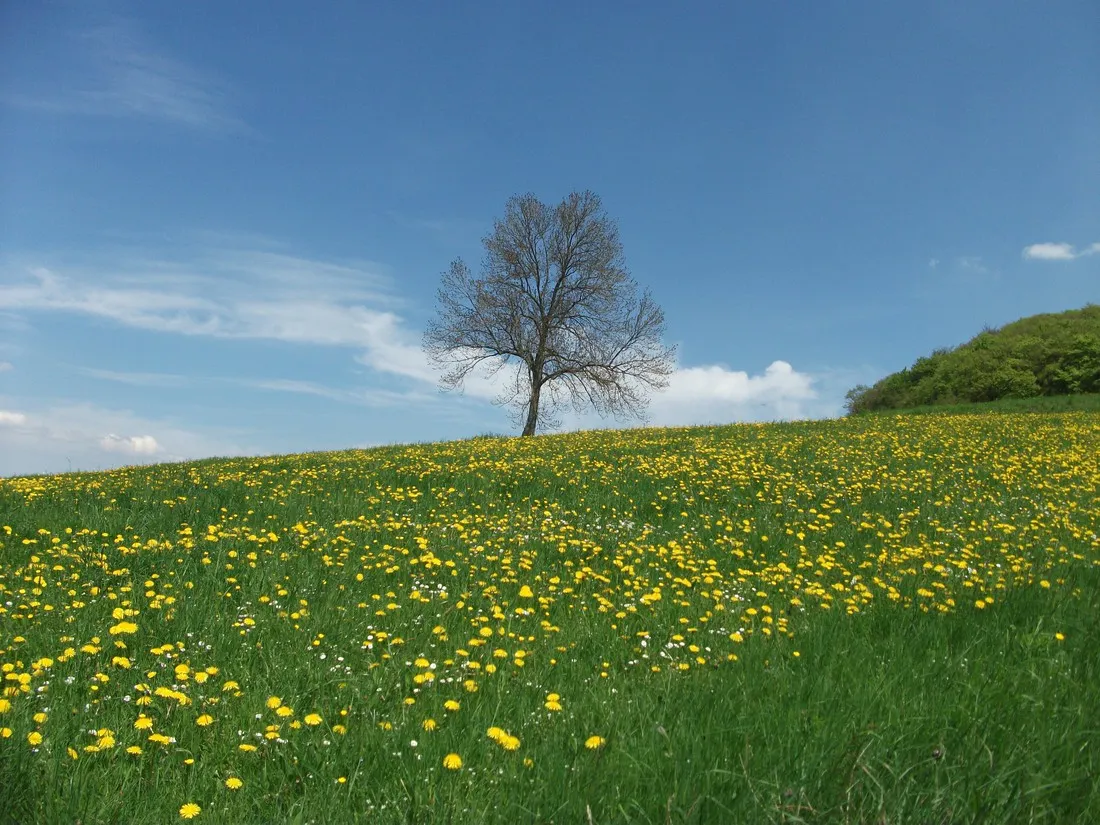 neumuhle-ermsdorf-s5qja