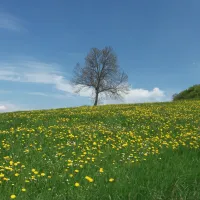 neumuhle-ermsdorf-s5qja