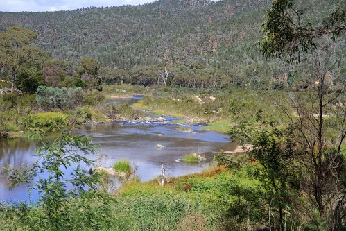scotchies-yard-campground-kosciuszko-national-park-dwyh7