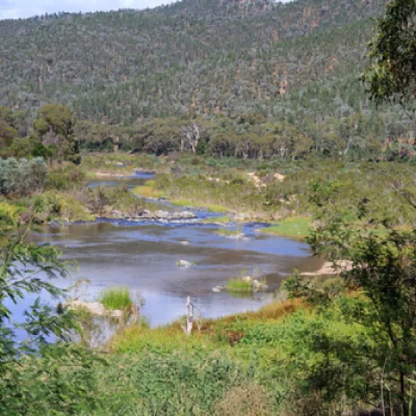 scotchies-yard-campground-kosciuszko-national-park-dwyh7