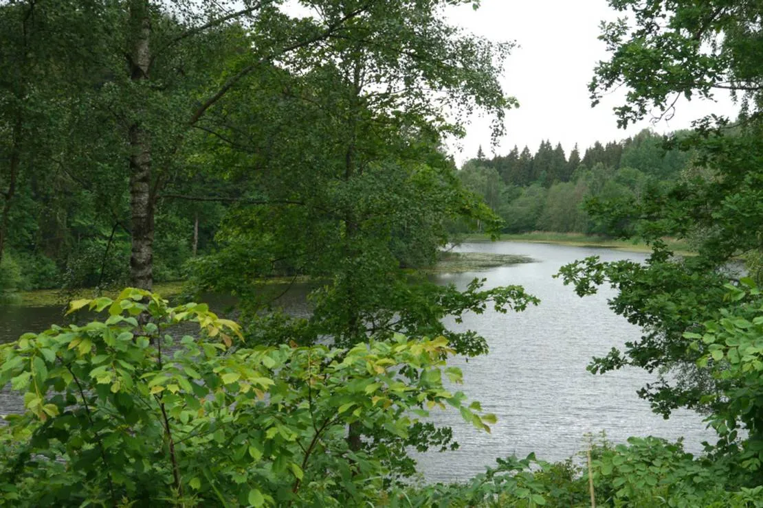 camping-obuoliu-sala-moletu-bsjw9