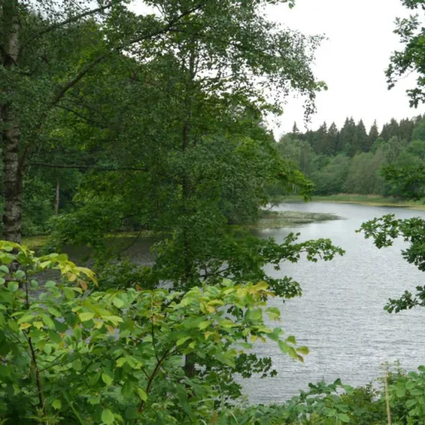 camping-obuoliu-sala-moletu-bsjw9