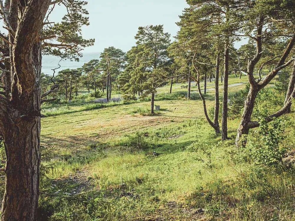 snack-camping-visby-d1tio