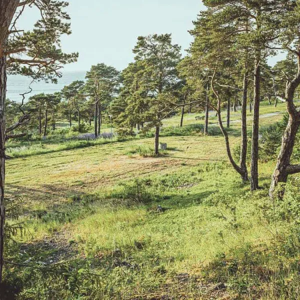 snack-camping-visby-d1tio