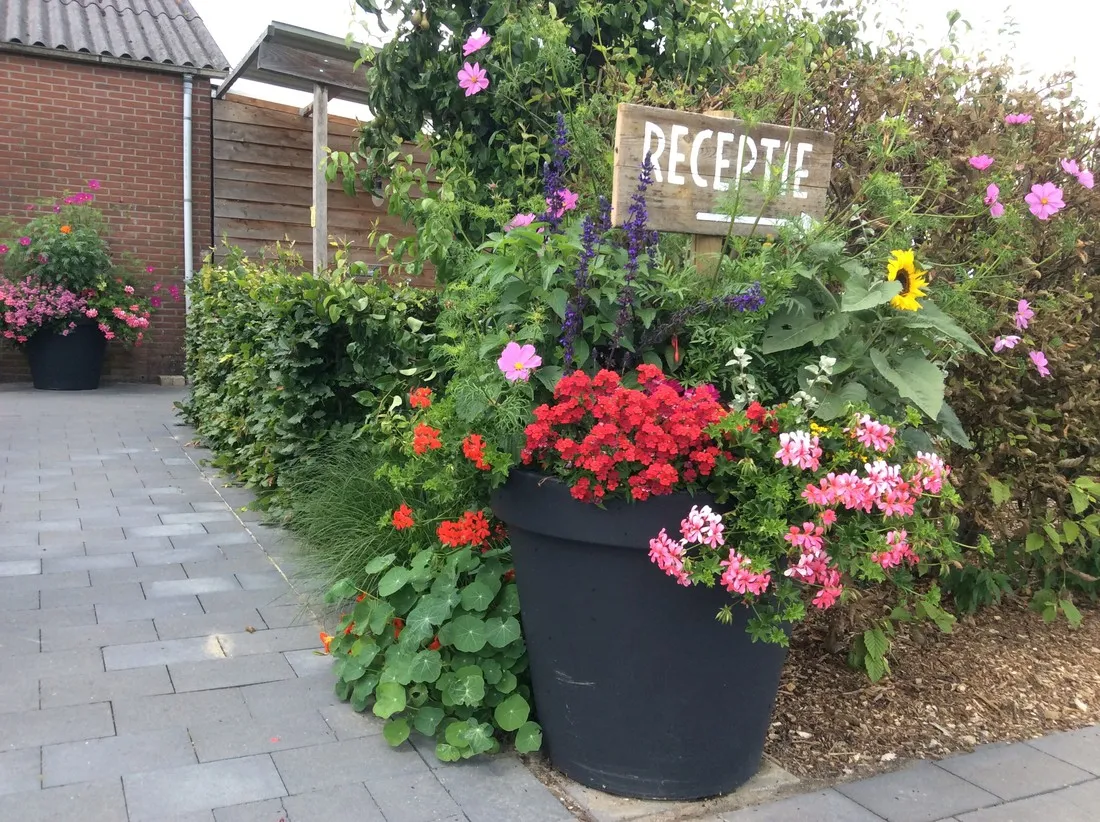 de-kampeertuin-wijdenes-kosei