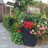 de-kampeertuin-wijdenes-kosei