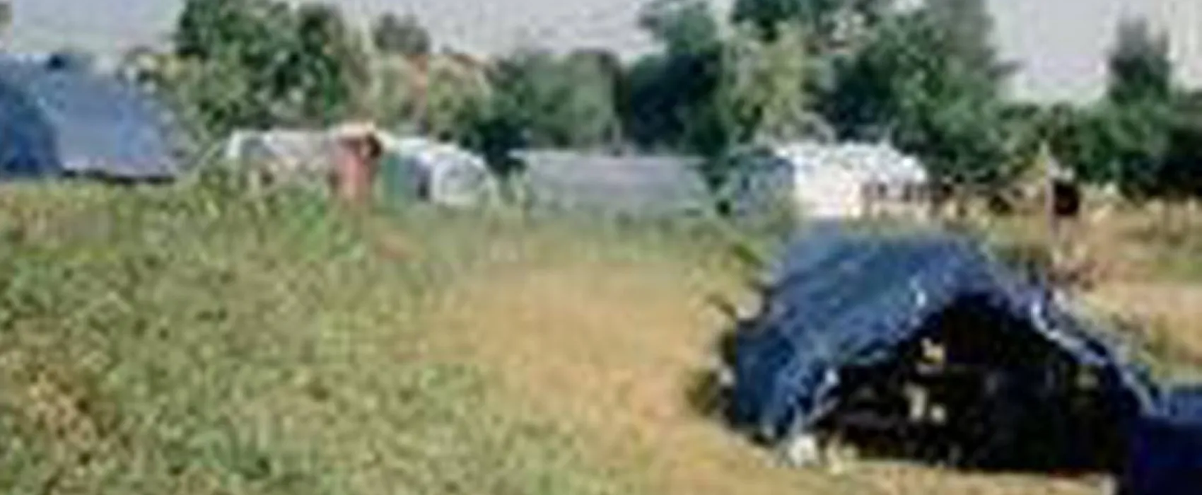 Camping Le Vieux Moulin