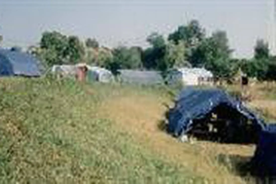 camping-le-vieux-moulin-neuville-sur-sarthe-61tjv