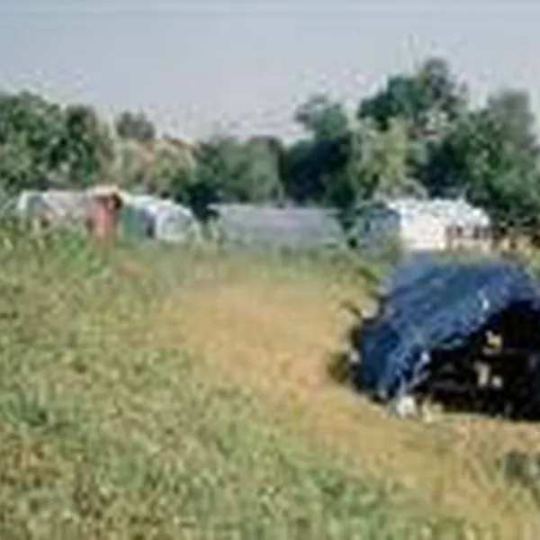 camping-le-vieux-moulin-neuville-sur-sarthe-61tjv
