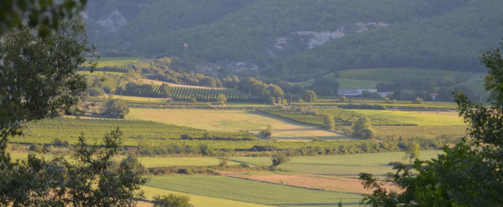 Domaine Le Pommier