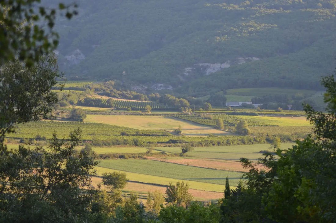 domaine-le-pommier-villeneuve-de-berg-ardeche-iydid