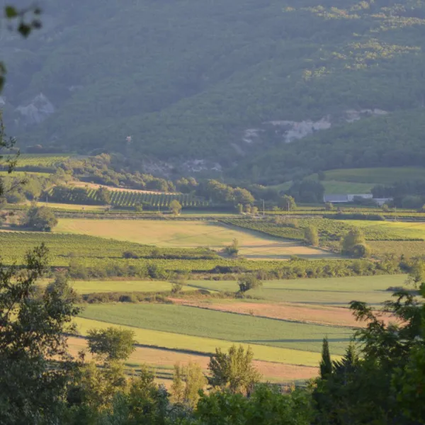 domaine-le-pommier-villeneuve-de-berg-ardeche-iydid