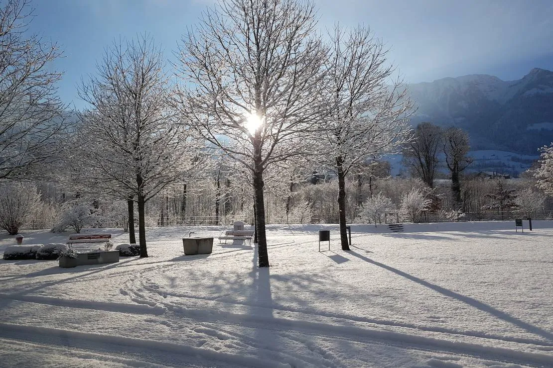 camping-seefeld-park-sarnen-sarnen-vox3j