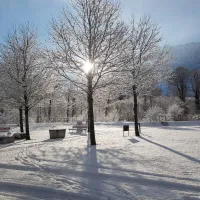 camping-seefeld-park-sarnen-sarnen-vox3j