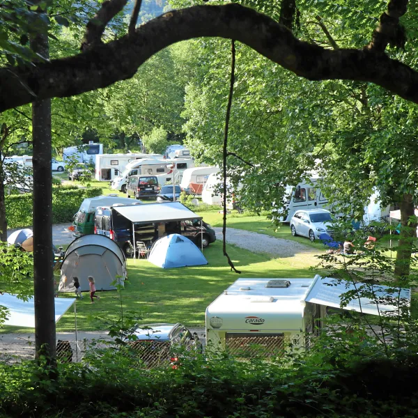 drei-lander-camp-lorrach-lorrach-0knur