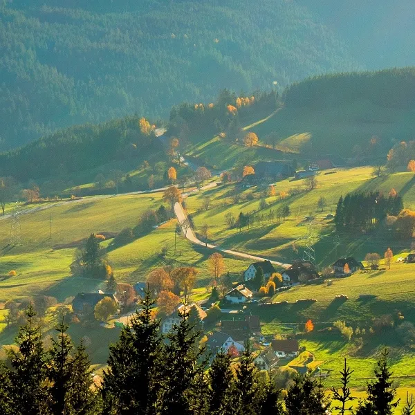 Schwarzwald