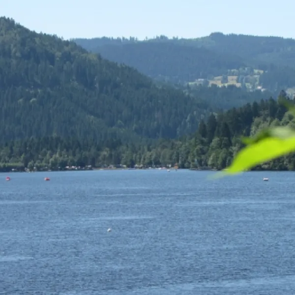 Titisee-Schwarzwald