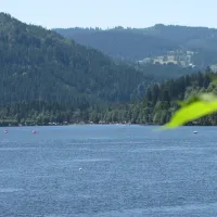Titisee-Schwarzwald