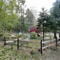 whispering-pines-campground-hope-valley-le7a1