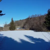L'Etang de Flechat