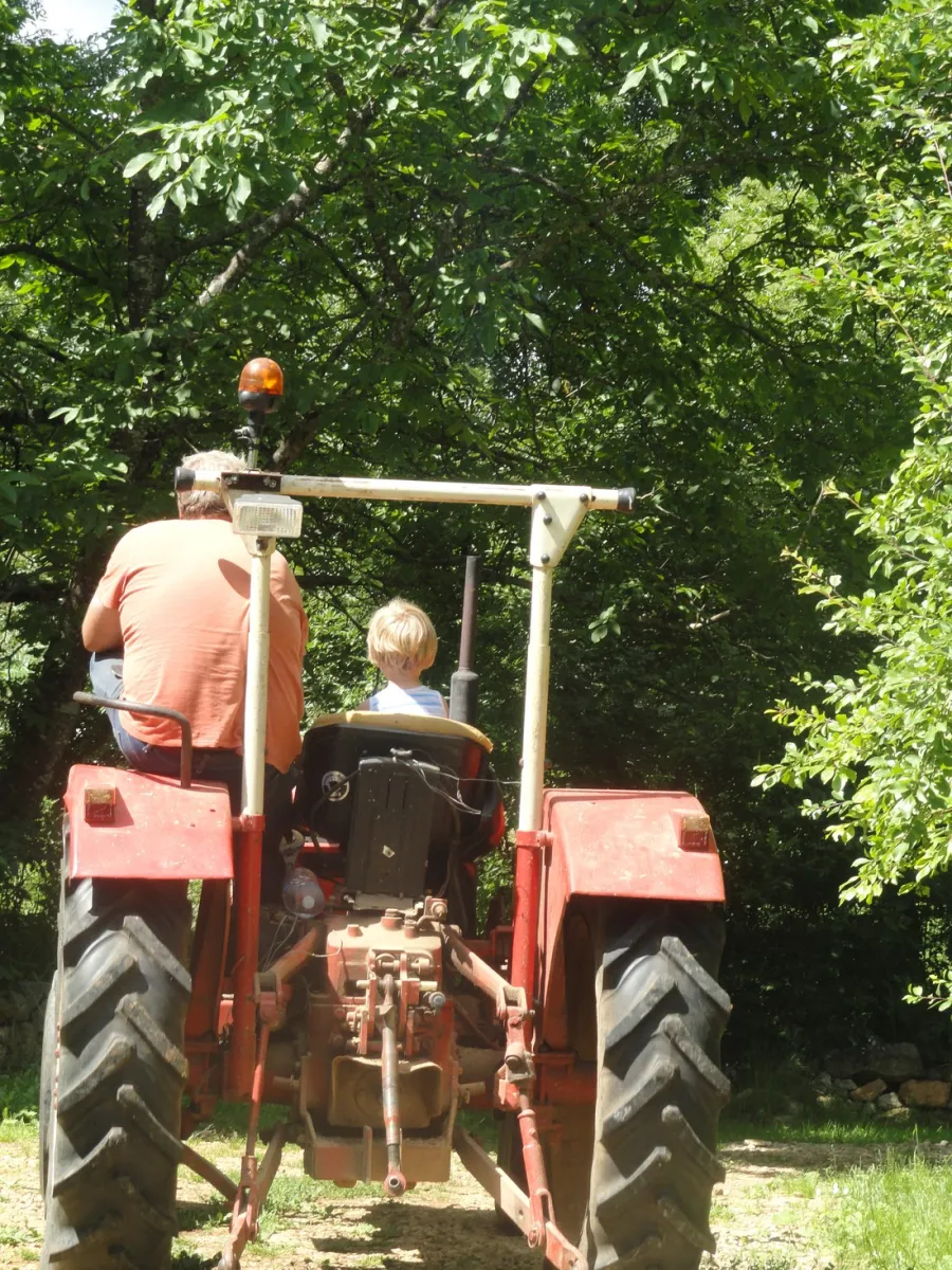 domaine-audubert-st-antonin-noble-val-tarn-et-garonne-dmtoc