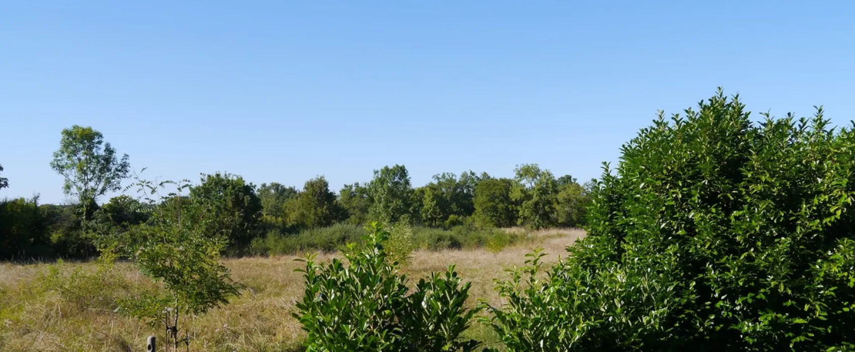 Domaine Audubert