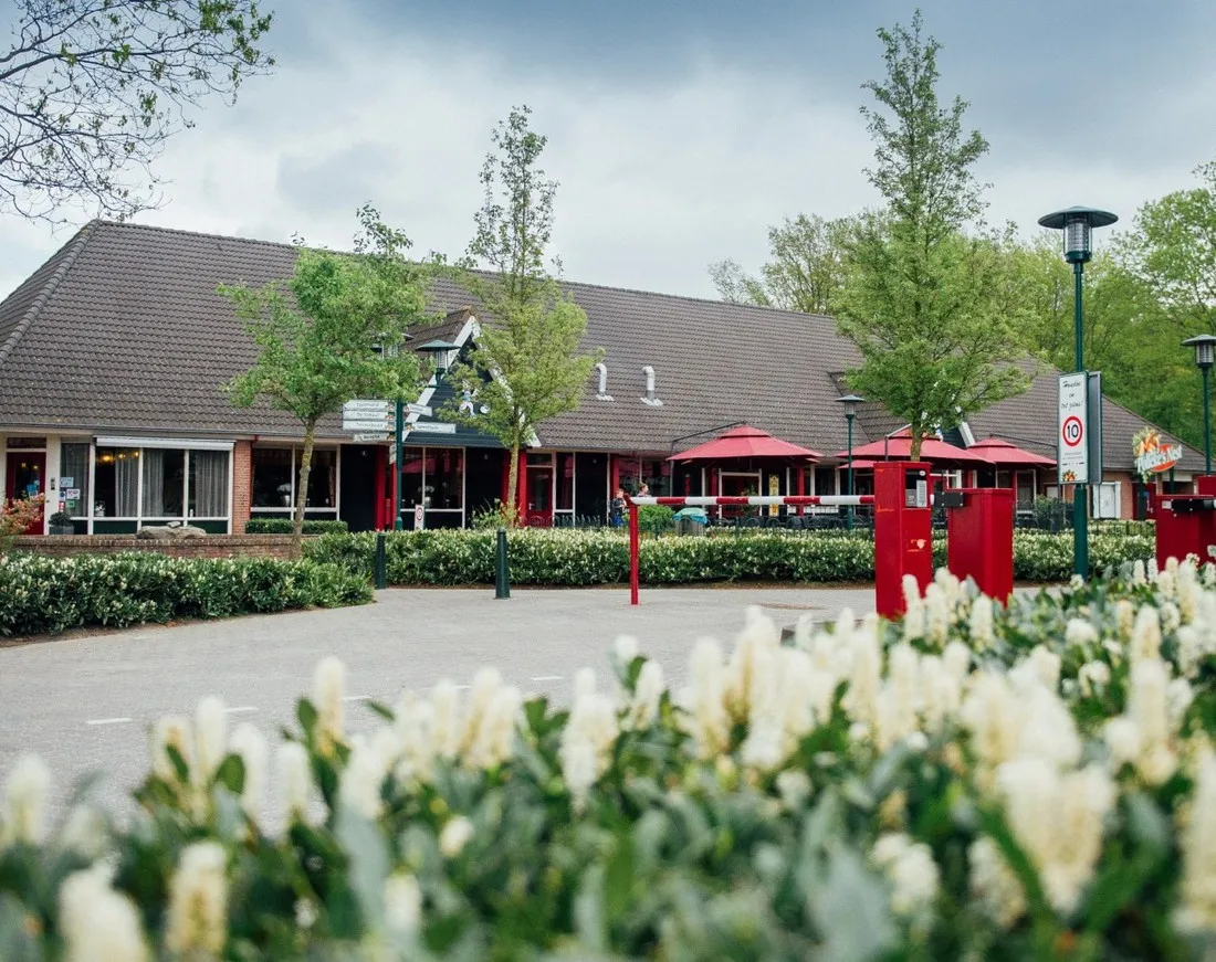 ponderosa-baarle-nassau-bp1da