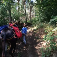 minicamping-ezelcamping-in-t-niet-maasbree-olxub