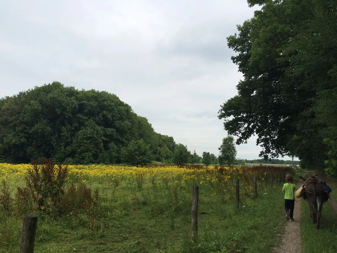 minicamping-ezelcamping-in-t-niet-maasbree-svyh6