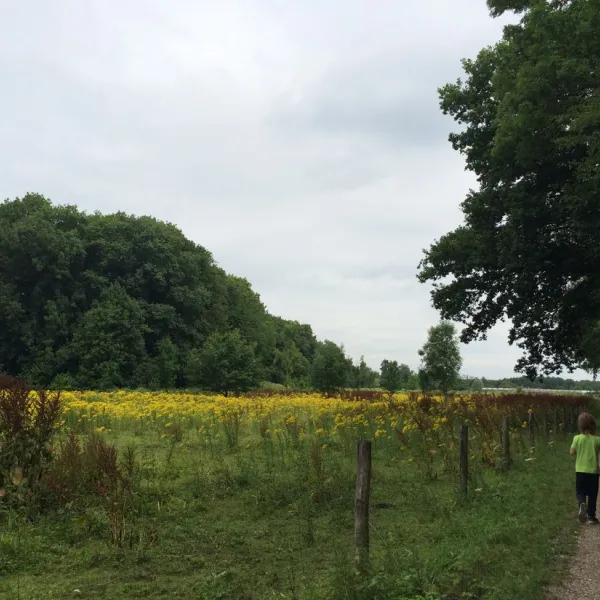 minicamping-ezelcamping-in-t-niet-maasbree-svyh6