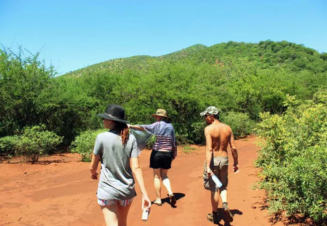 thaba-nkwe-bushveld-inn-5kms-from-thabazimbi-9oat2