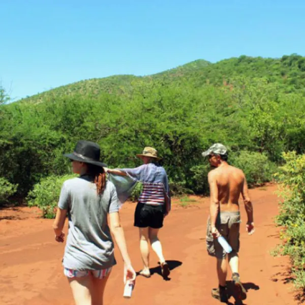 thaba-nkwe-bushveld-inn-5kms-from-thabazimbi-9oat2