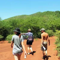 thaba-nkwe-bushveld-inn-5kms-from-thabazimbi-9oat2