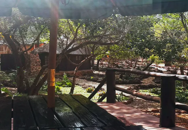 thaba-nkwe-bushveld-inn-5kms-from-thabazimbi-ytkrk