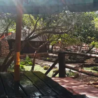 thaba-nkwe-bushveld-inn-5kms-from-thabazimbi-ytkrk