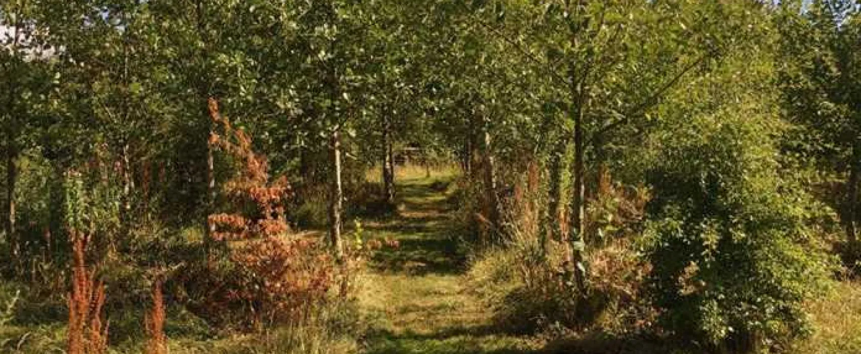 Appledore Park