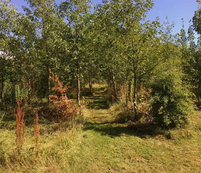 appledore-park-okehampton-ghgkr