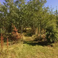 appledore-park-okehampton-ghgkr