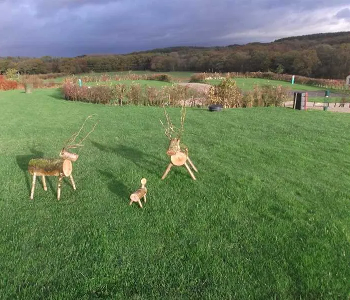 appledore-park-okehampton-vbxo4