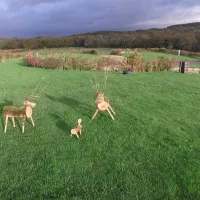 appledore-park-okehampton-vbxo4