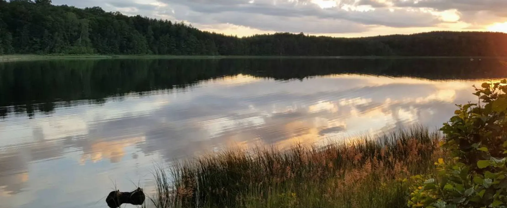 Twoje Piaseczno