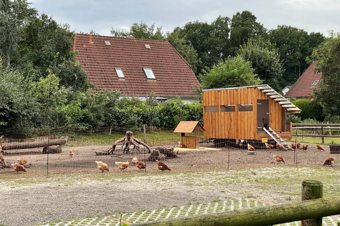 der-eichenhof-hellwege-iktgt