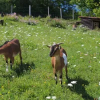camping-des-gorges-de-loignin-matafelon-lr6io