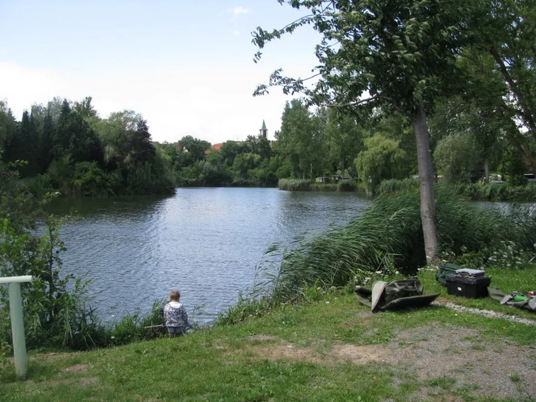 sperrfechter-oedheim-ng5u8