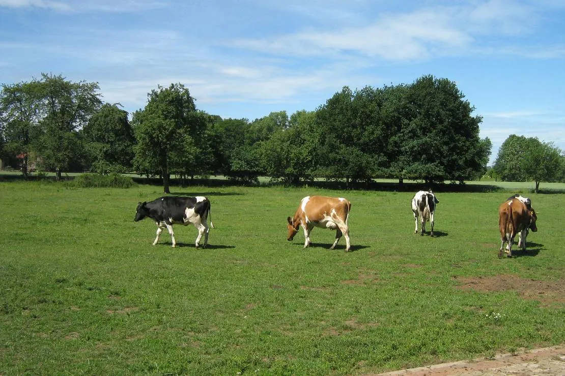 natur-familien-campingplatz-im-brauke-warmsen-qrhif