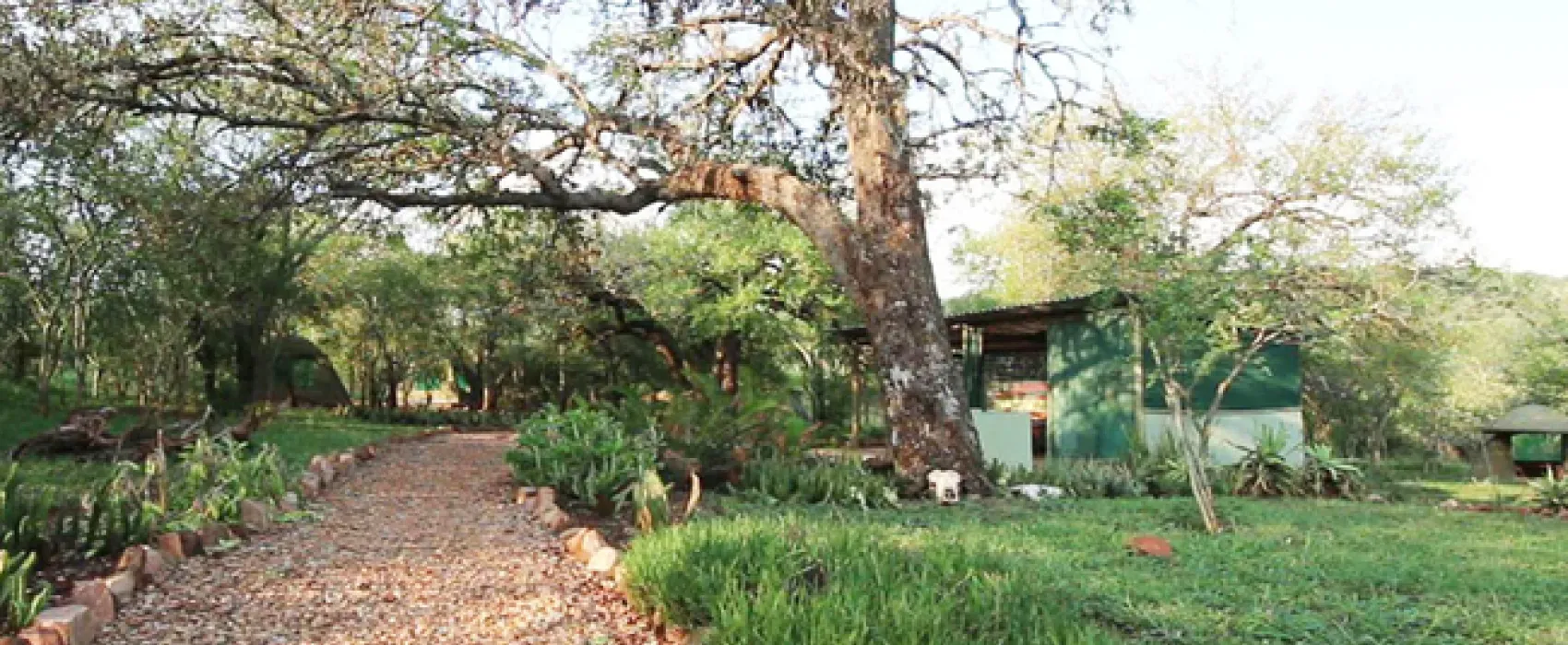 Shayamoya Rustic Bush Camp