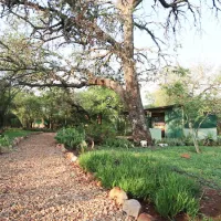 shayamoya-rustic-bush-camp-golela-district-pongola-xvgho
