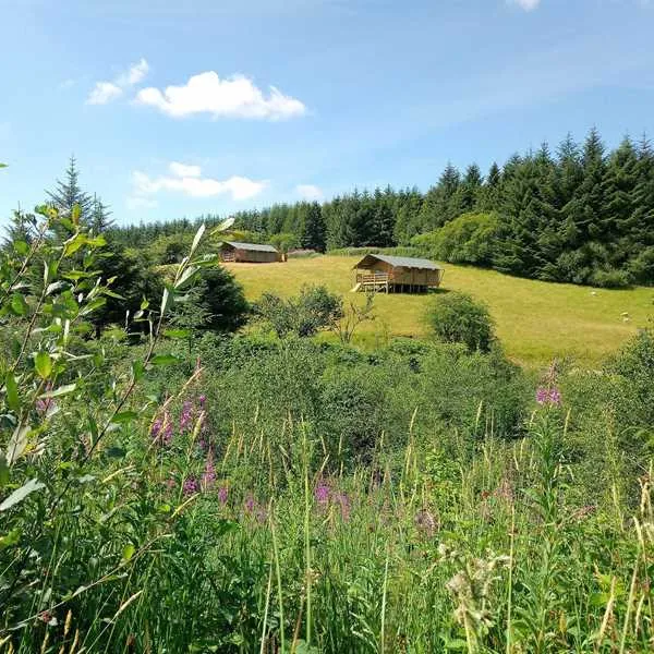 Matilda's Field