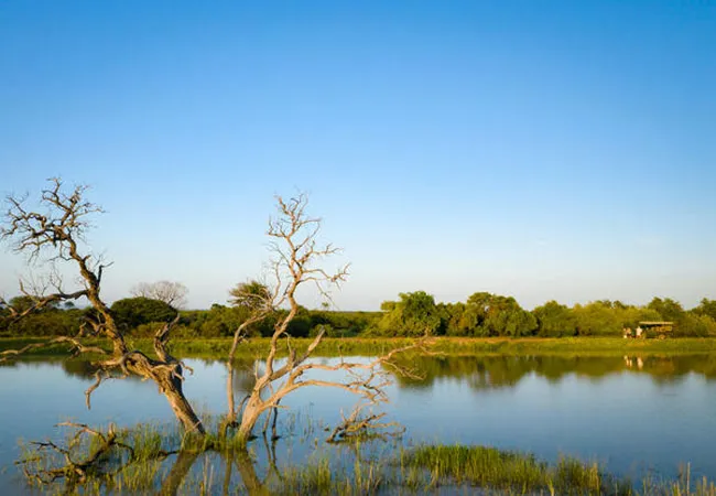 rhino-bush-camp-67kr-zondachsfontein-vaalwater-cbgic